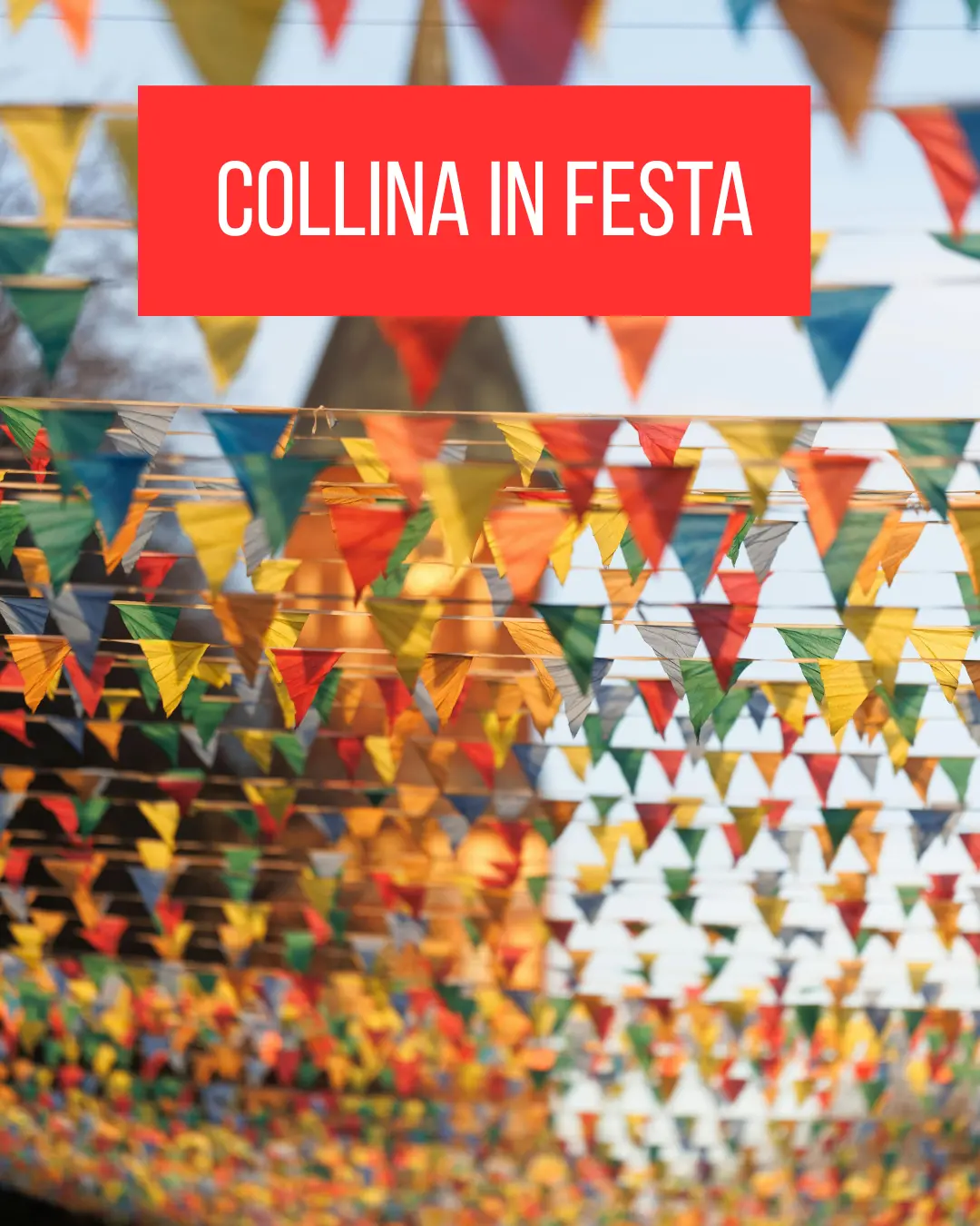 Collina in Festa