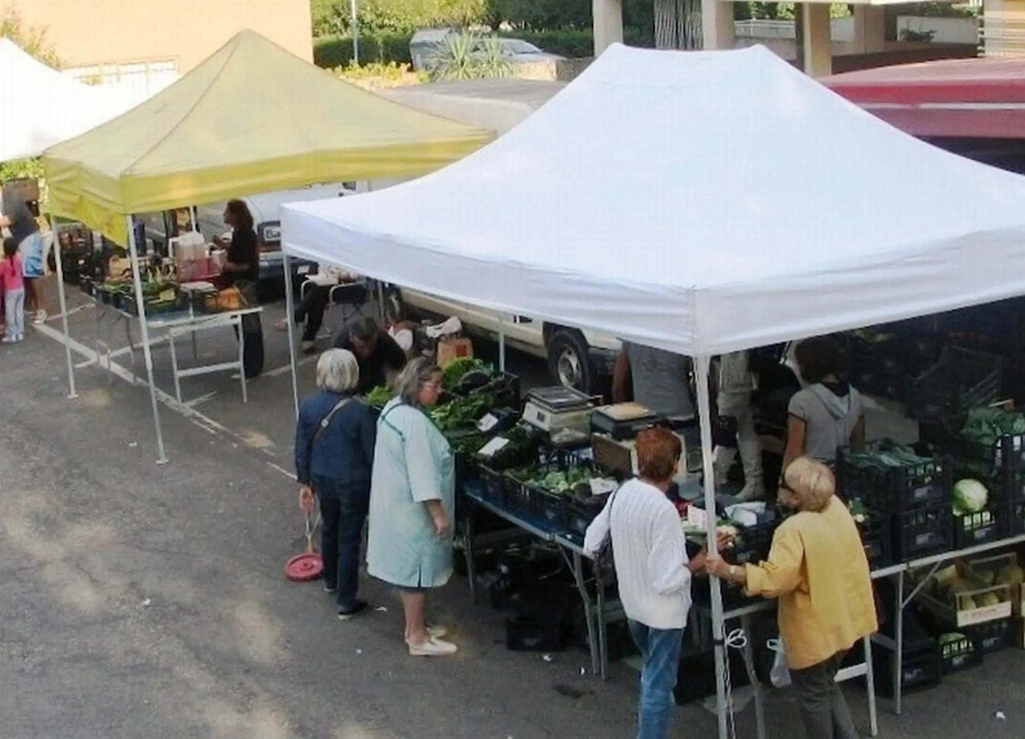 Farmer's Market Bertella
