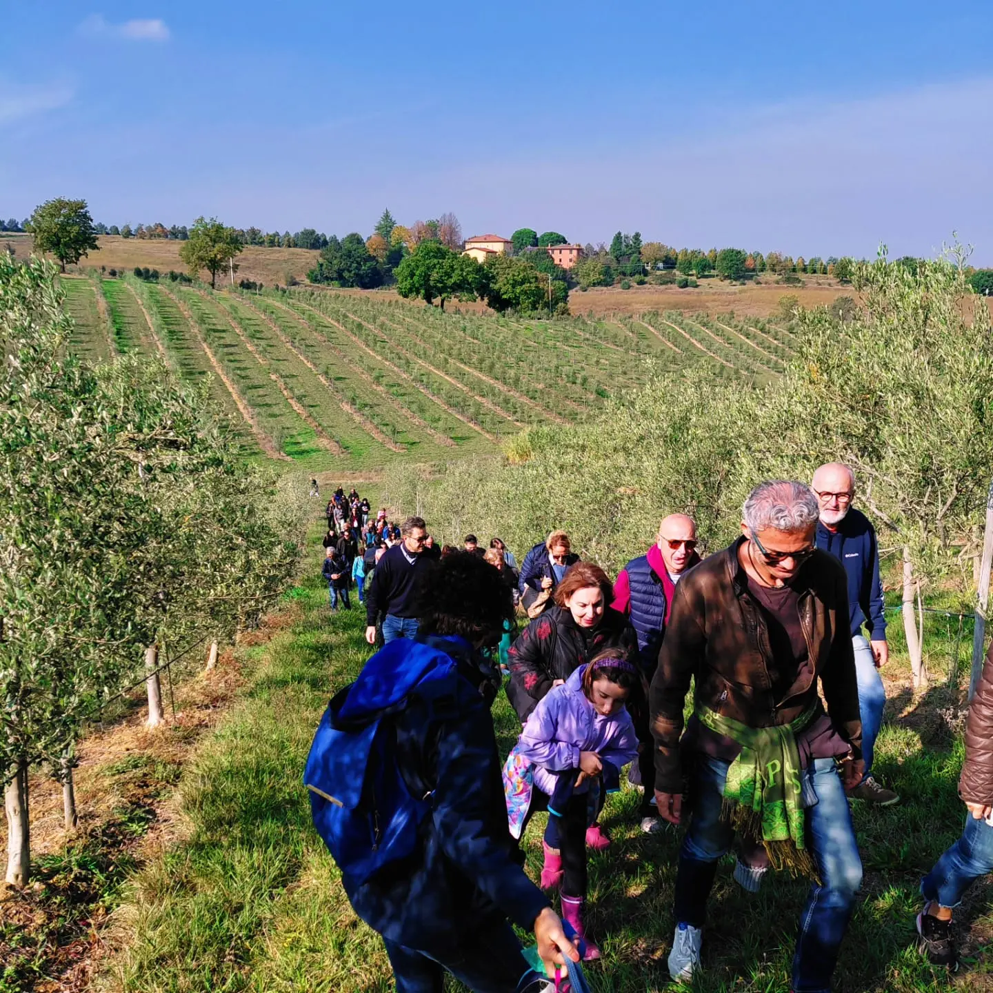 Camminata tra gli Olivi