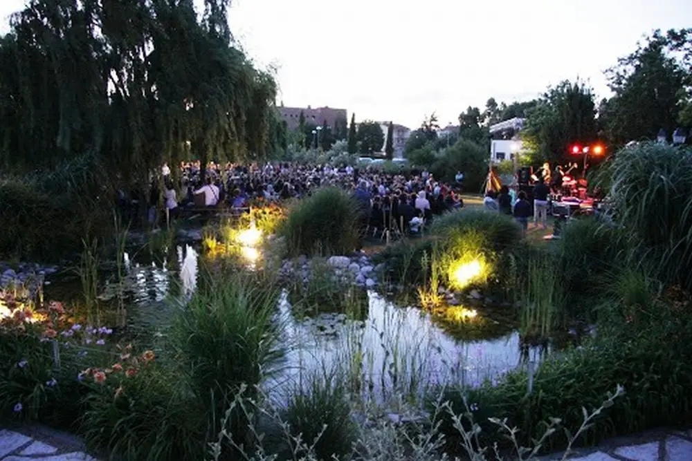 Al Giardino degli Angeli: la magia del “Tramonto tra i salici”