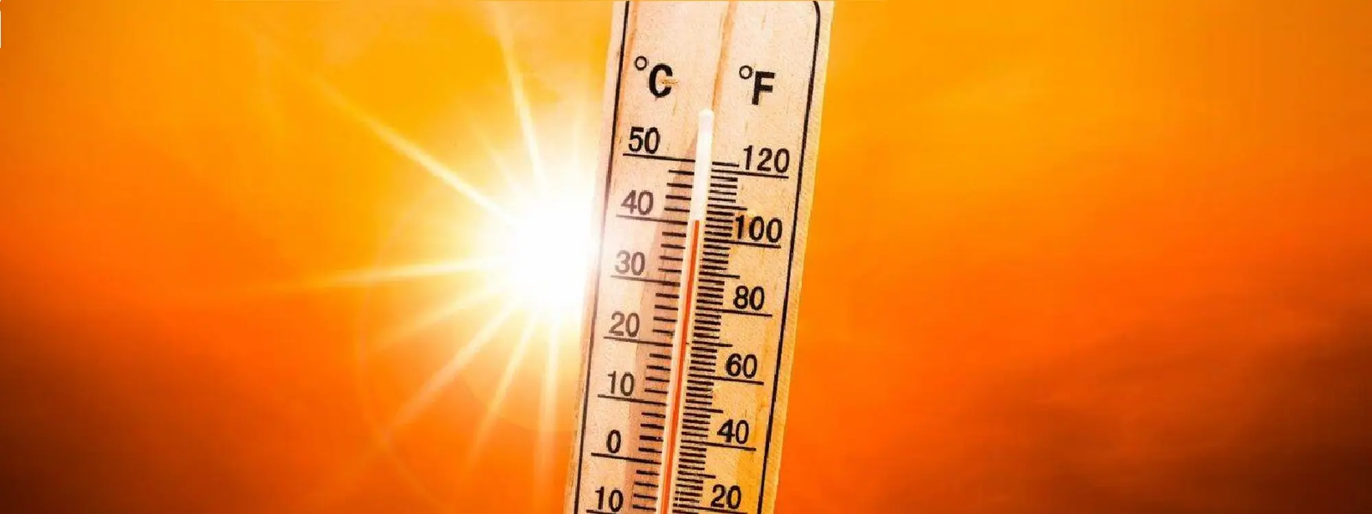 Come contrastare il caldo: i consigli dell'Ausl per evitare disidratazione e colpi di calore
