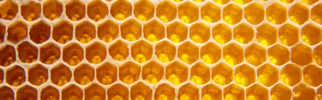 Sesto appuntamento della rassegna “Incontri al Convento” con Lucia Piana