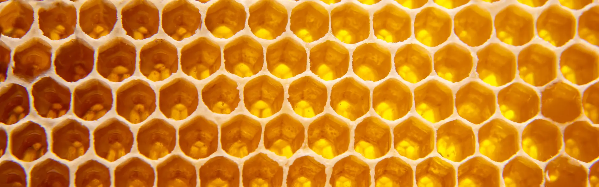 Sesto appuntamento della rassegna “Incontri al Convento” con Lucia Piana