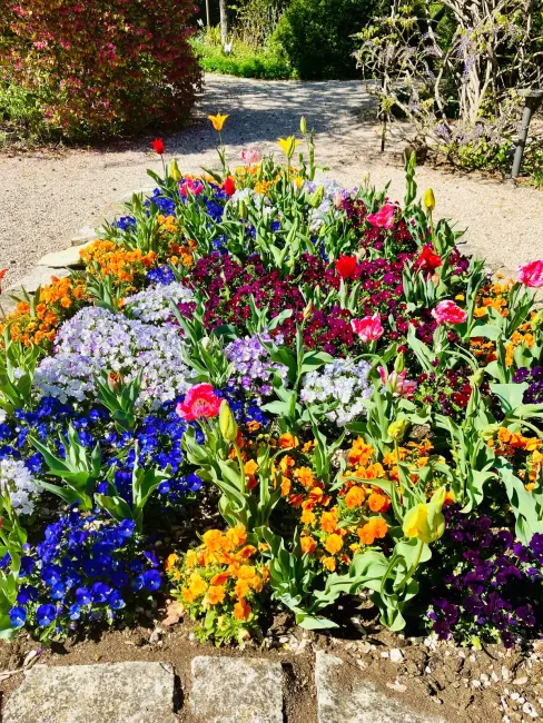  Domenica 12 aprile Il Giardino degli Angeli compie 18 anni!