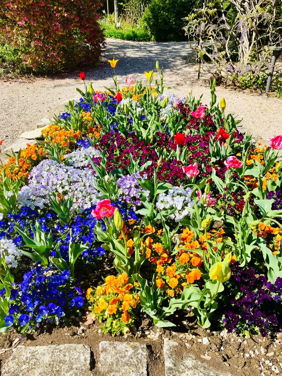  Domenica 12 aprile Il Giardino degli Angeli compie 18 anni!
