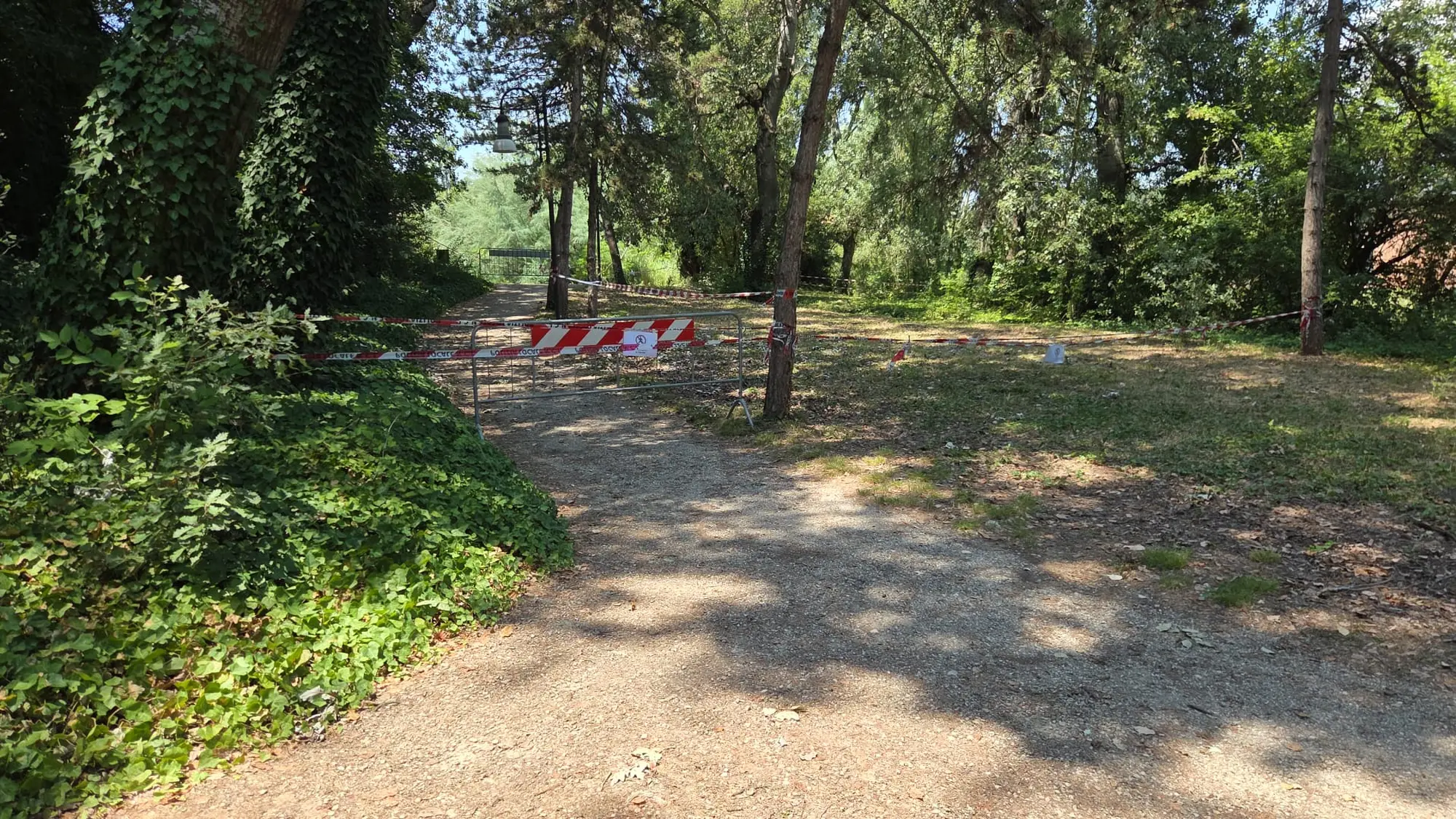 Caduta di un ramo al Parco Laghetto Scardovi