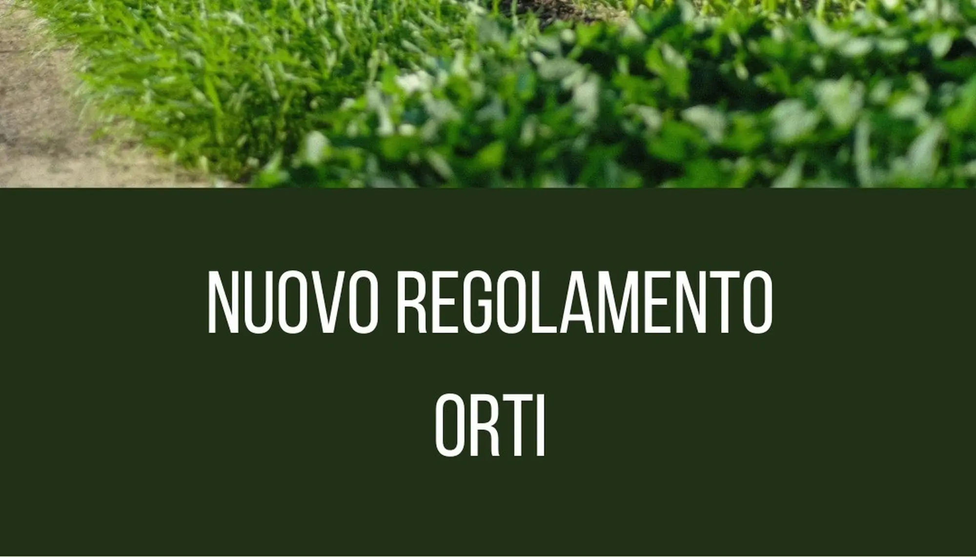 Orti sociali e solidali